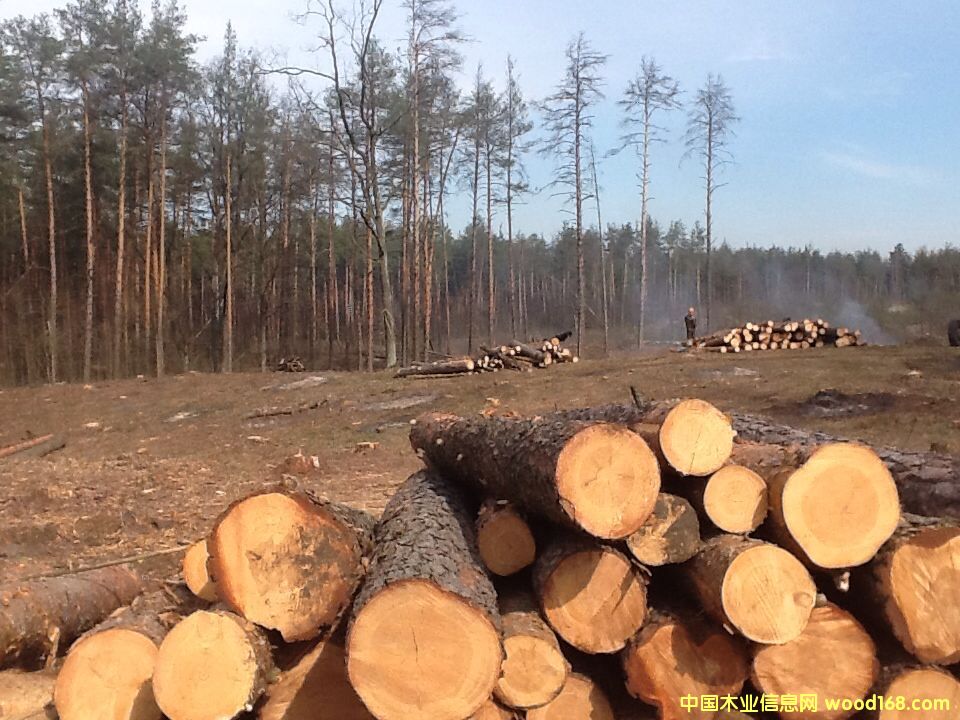 �����m��ɼ�������ɡ���ľԭľ�����