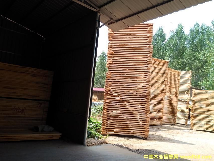 �ח�ľ��ĵ�Ԕ��(x��)��B