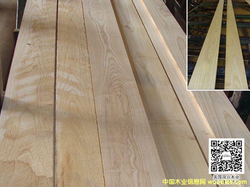 TN��{���ݰ�Ϟľ/ɽ�^��