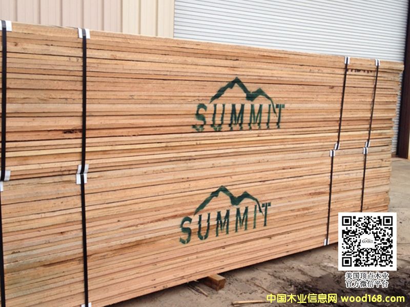 NY�~�s�ݼt��/������