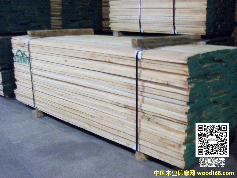 TN��{���ݰ���/ɽ�^��