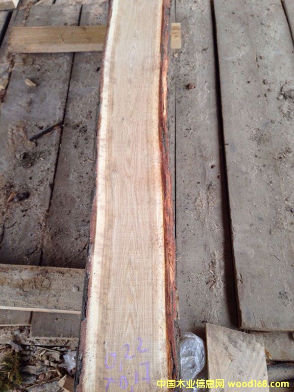 ���_˹�M����ľ䏲�