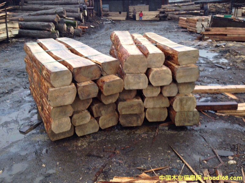 ���_˹�M����ľ