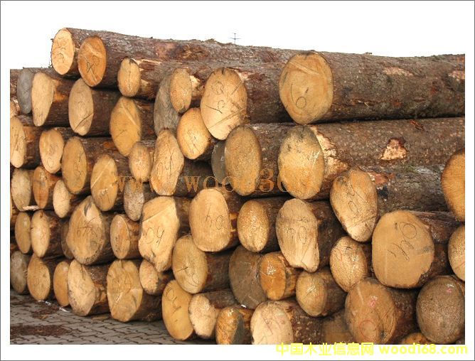 ɽ�|����ԭľ-�������_ľ�I