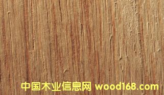 ľ�İٿƣ��R������˹����ľ��Merpauh)