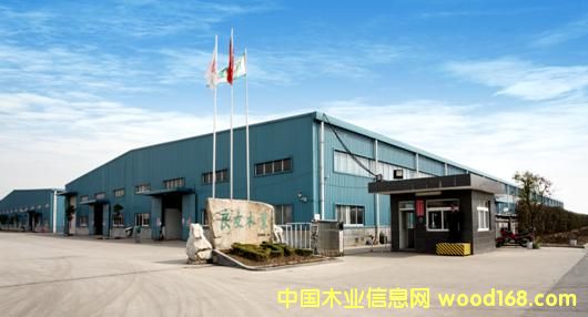 �㽭���d����ľ�I