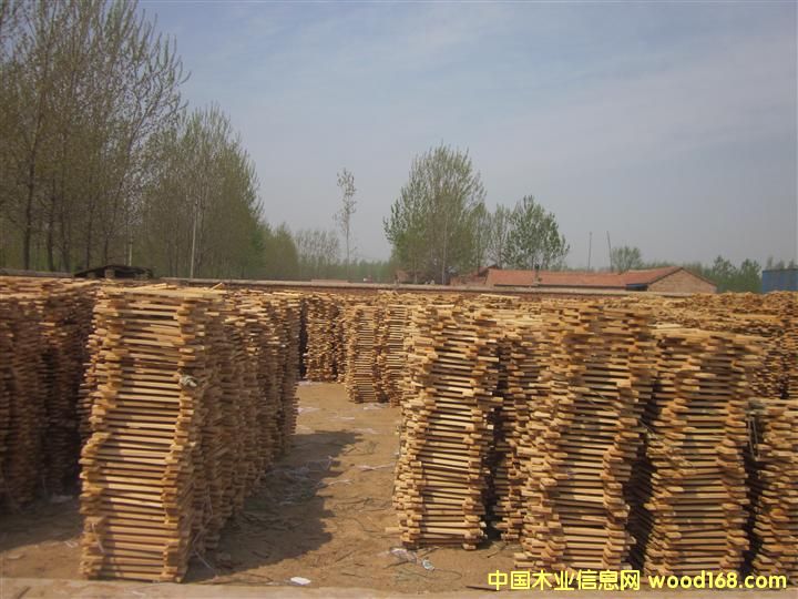 ɽ�|�ܿh�fկ�x�_ľ�I