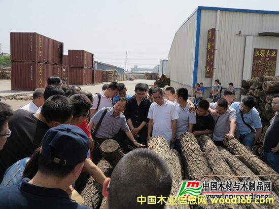 ȫ��ľ�ęz򞎟(����)�����I�Y����Ӗ�����Ϻ��e�k