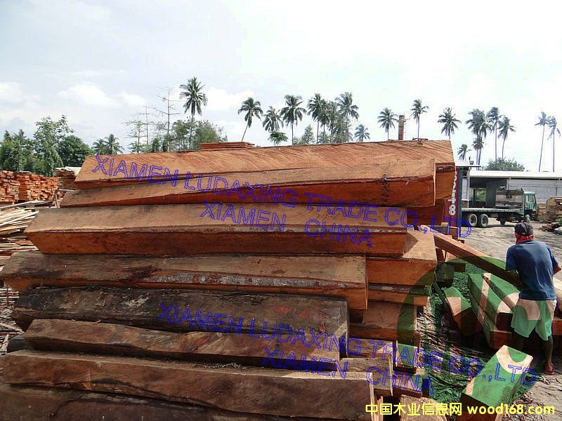 �һ���ľ��2