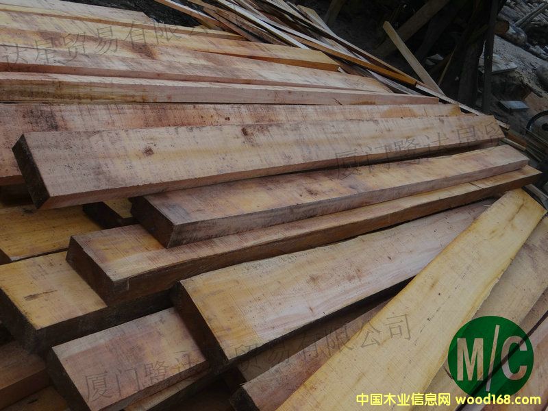 �һ�оľ���150110