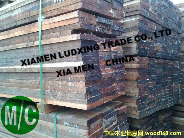 ����˼�ذ�����1