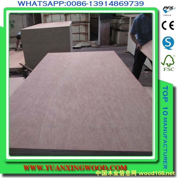 ���ǹ��z�ϰ��Ԕ����B