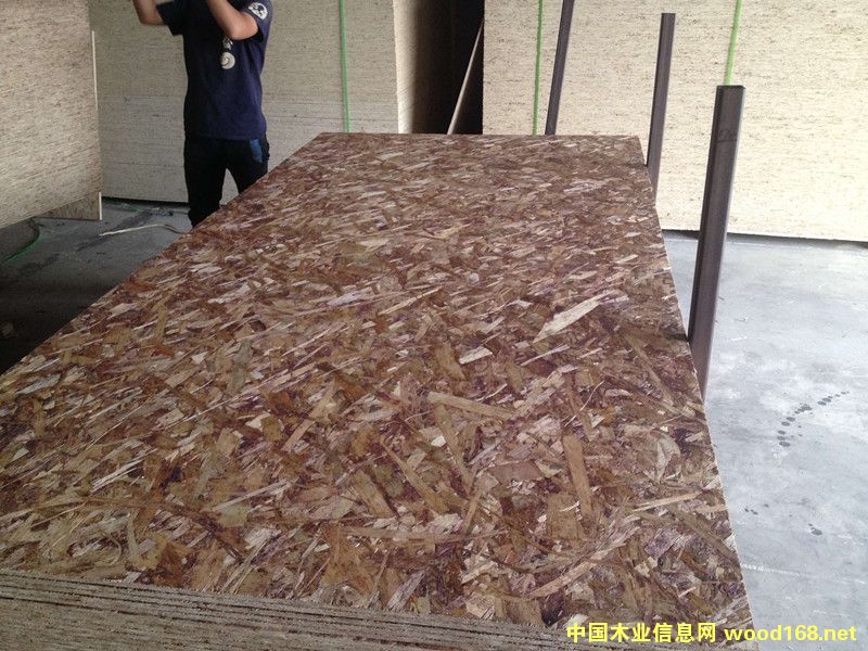 9mm�sľ��ȩ�W�ɰ��Ԕ����B