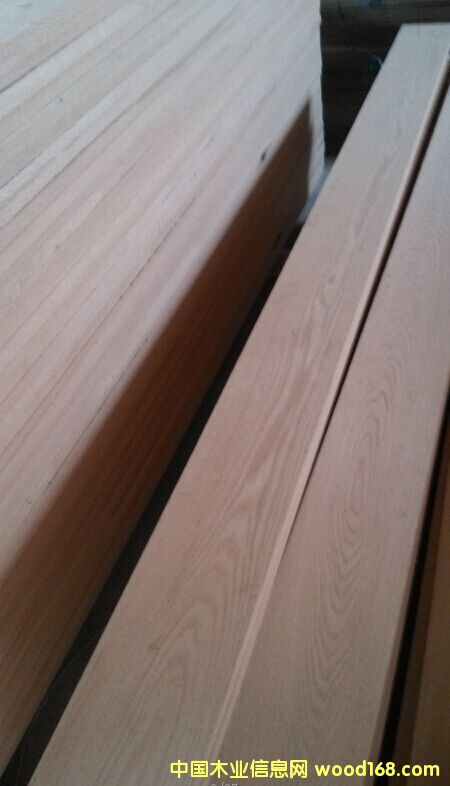 紅橡的詳細(xì)介紹