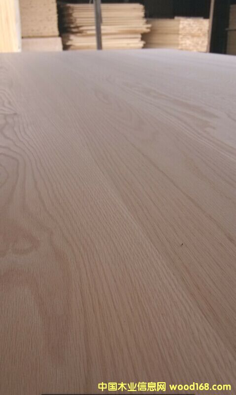 紅橡的詳細(xì)介紹