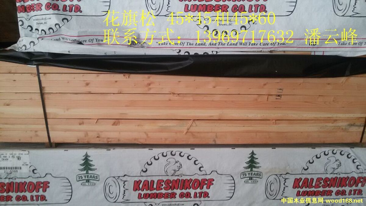 ������..