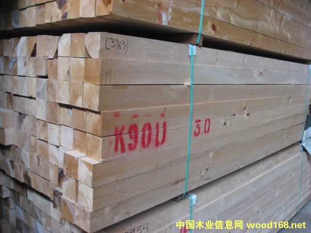 鐵杉的詳細介紹