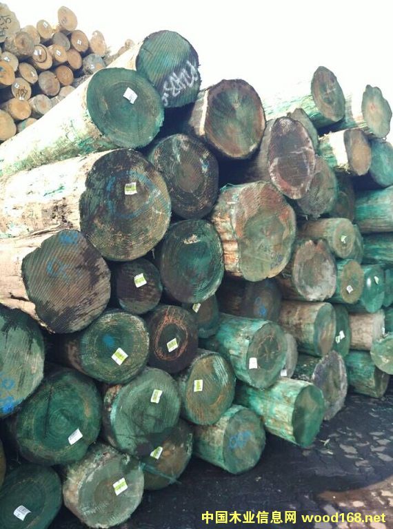 �����m�ɟo������ԭľ��Ԕ����B