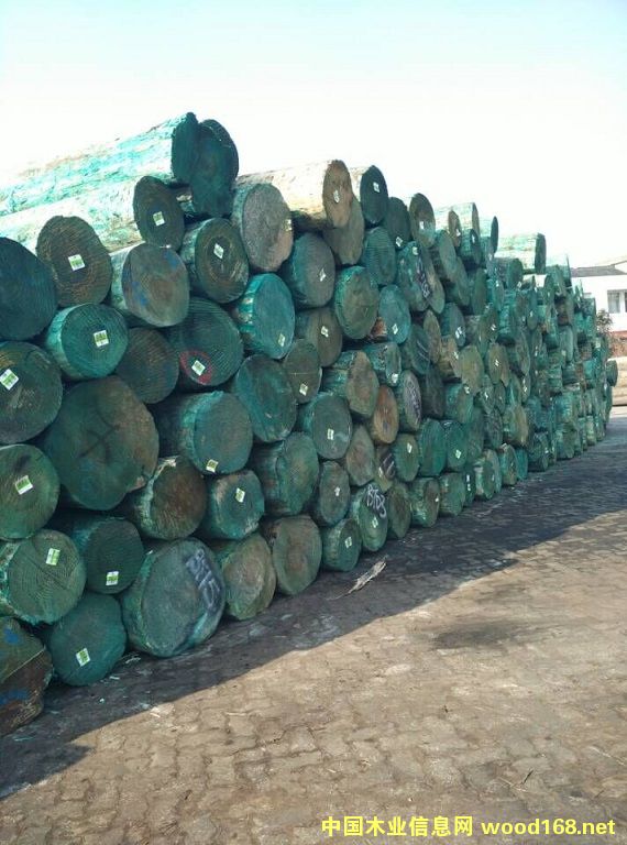 �����m�ɟo������ԭľ��Ԕ����B