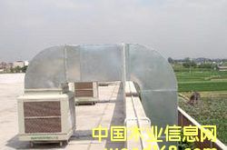 ���{�L��