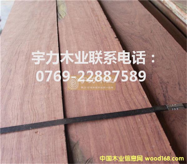 �ͻ���Ķ��Ƶ�Ԕ����B