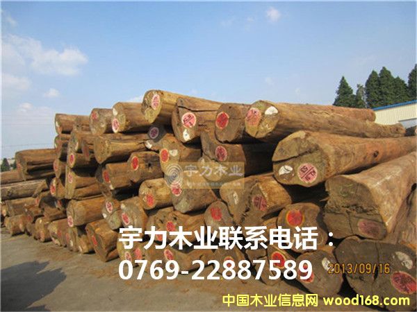 ��ľԭľ���Q�ĵ�Ԕ����B