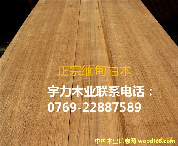 ������ľ��ĵ�Ԕ����B