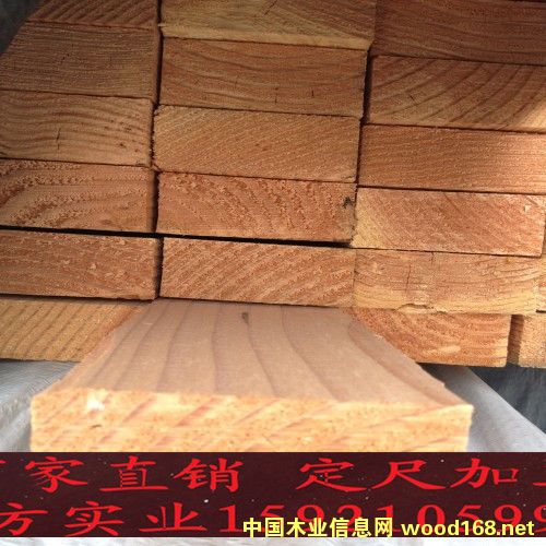 花旗松的詳細介紹