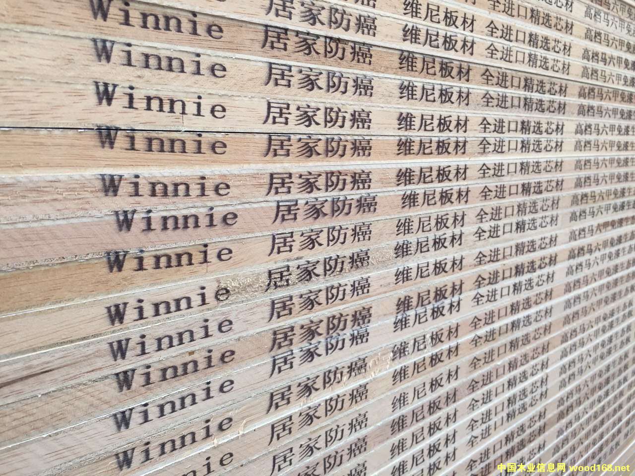 015��Ԕ����B