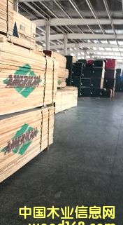 ���V��Ԕ����B