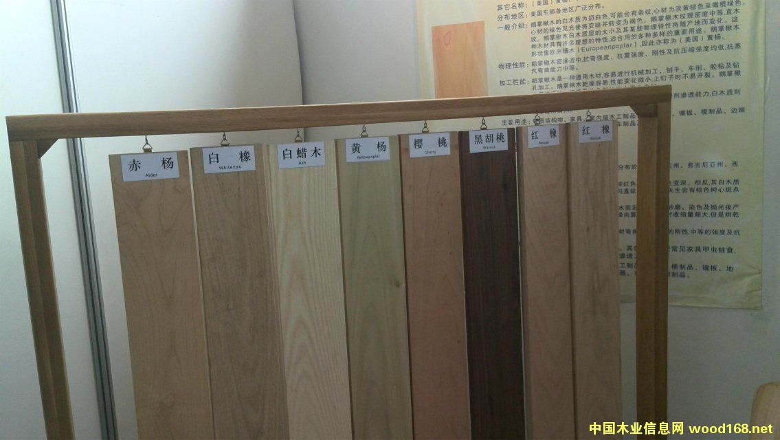 Ӳľ��ĵ�Ԕ����B