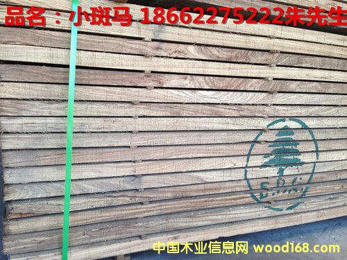 小斑馬的詳細介紹