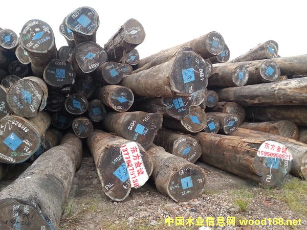 �u��ľ��Ԕ����B