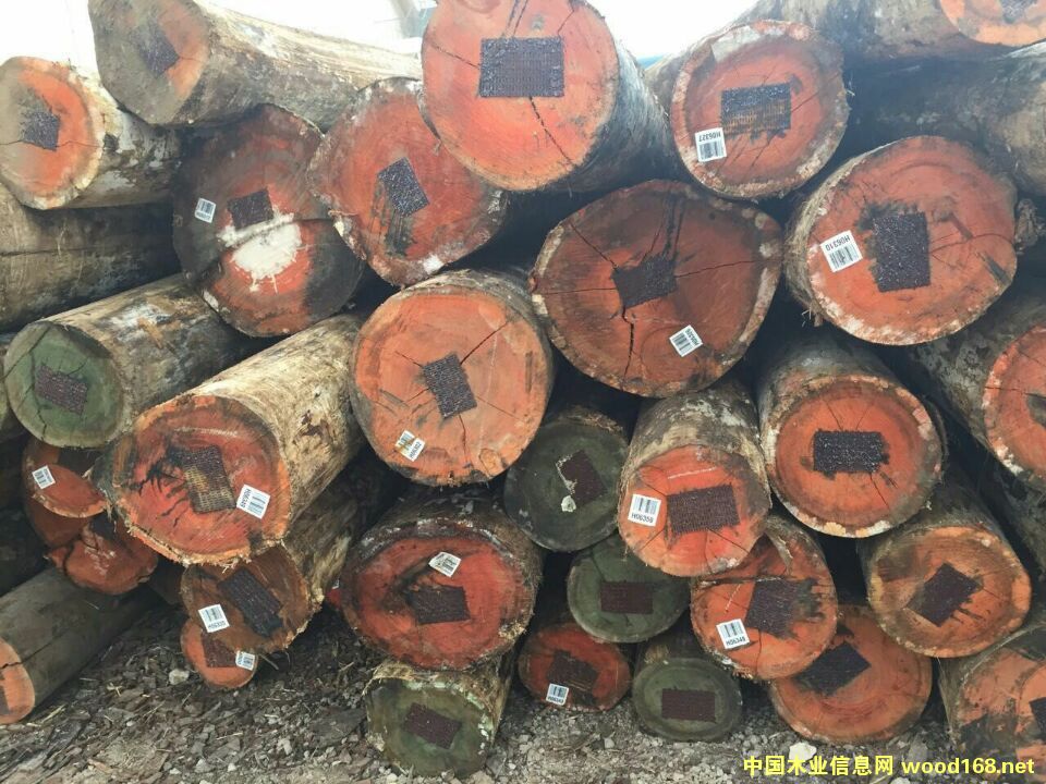 õ��ľ��Ԕ����B