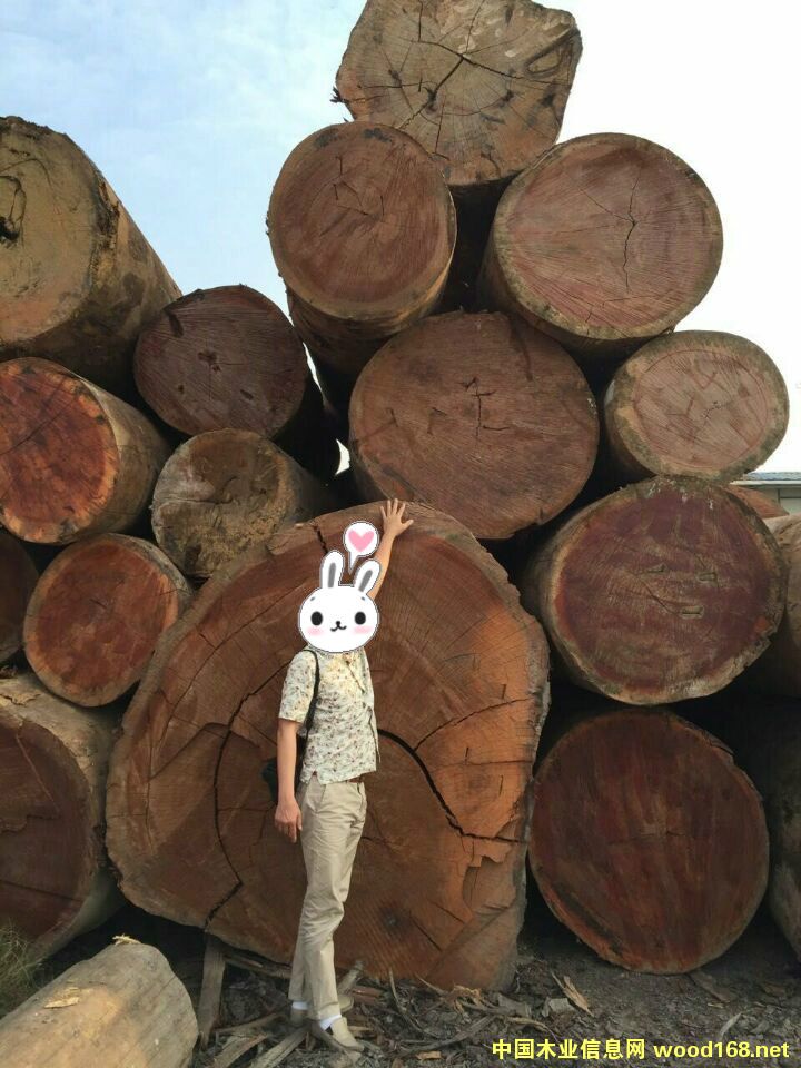 ɳ����ԭľ��Ԕ����B