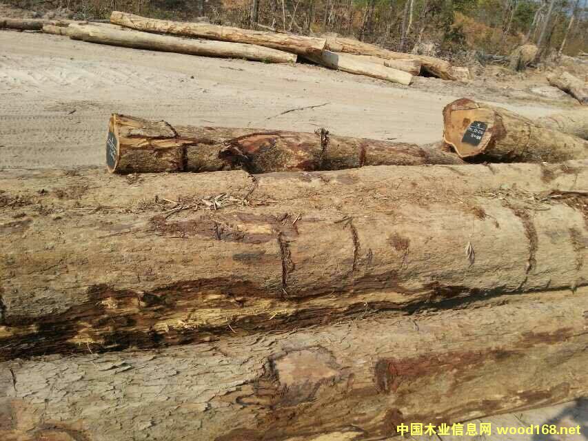 �ϓ뻨��ľ��Ԕ����B