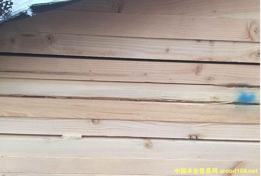 �����ɵ�Ԕ����B