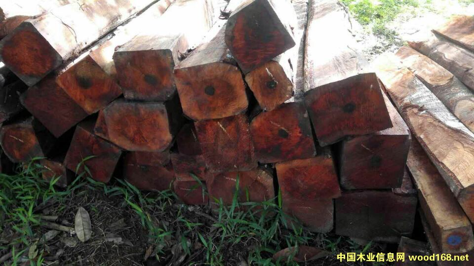 �����e�һ�оľ����Ԕ��(x��)��B