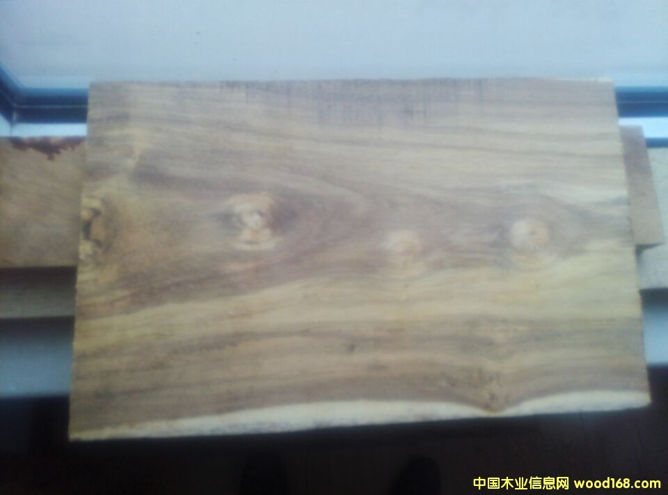 �����e��ľ��Ԕ��(x��)��B