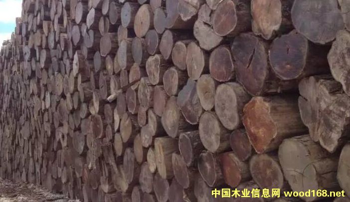 ������ľ��Ԕ����B