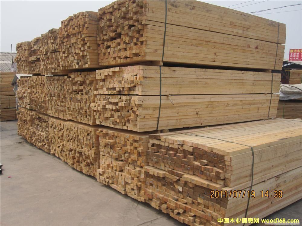 һ�����|��ľ��Ԕ����B