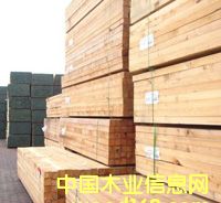 һ��ɼ�|��ľ��Ԕ����B