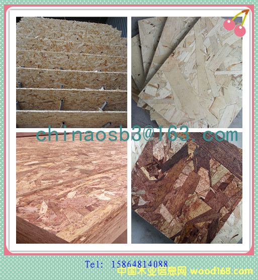 E1 ��(j��)6mm �W�ɰ�