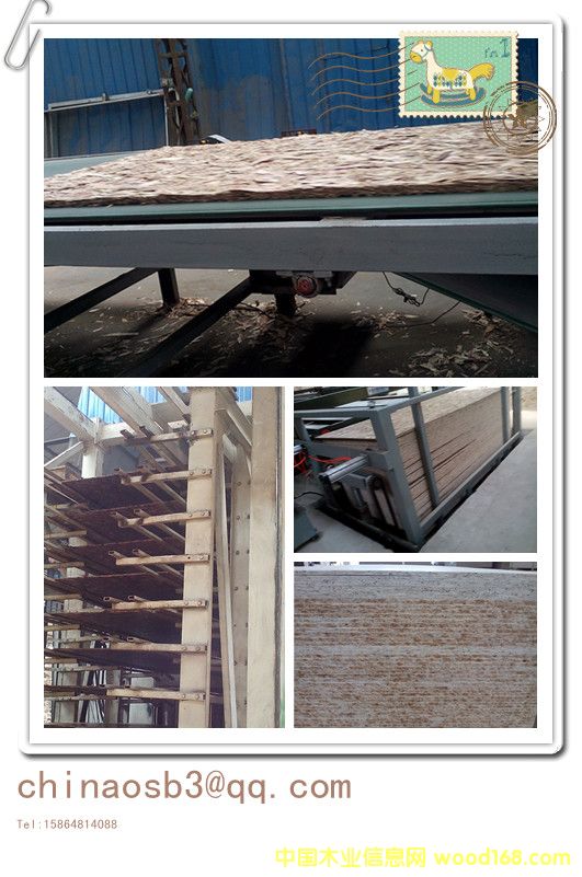 OSB�p䓽Y�����ݰ�