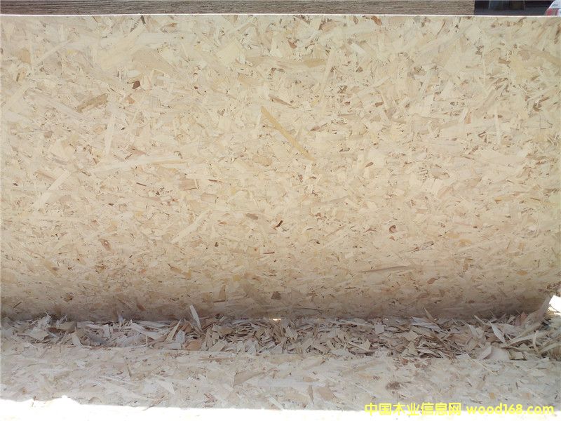 E1 OSB����Y����