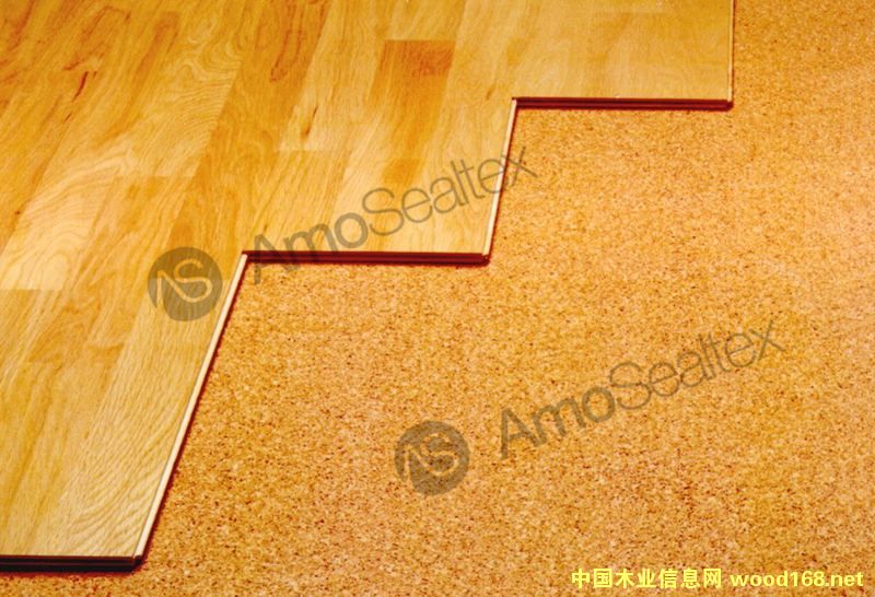 �ذ��·�������ܛľ�|��Ԕ����B