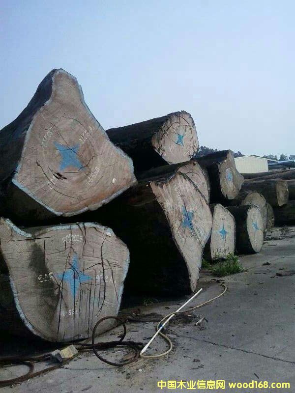 kosipo ������