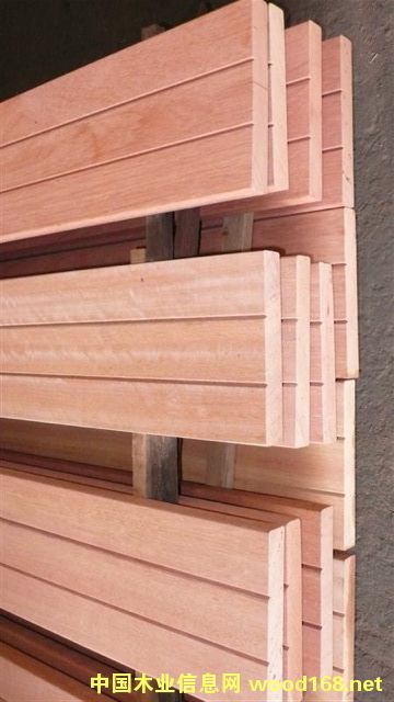 山樟木的詳細介紹