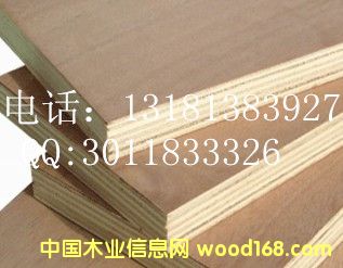 �Ҿ߶��Ӱ��Ԕ����B