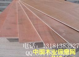 ���ڰ��b���z�ϰ�